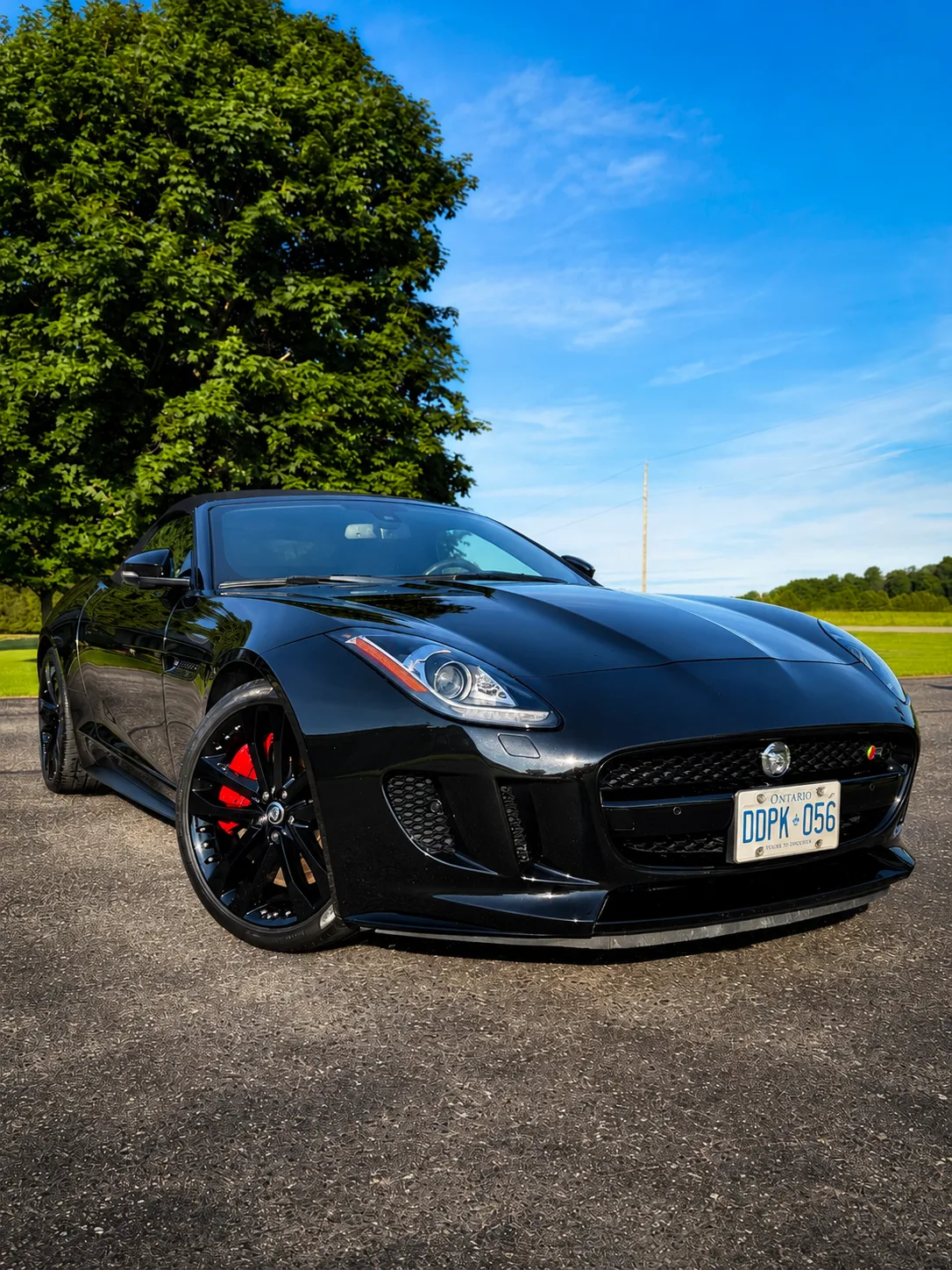 Black Corvette rear with deep ceramic gloss